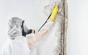  Cudahy, WI Mold Inspection Pros